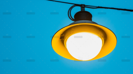 demo-attachment-899-pexels-oronzo-roberti-929661